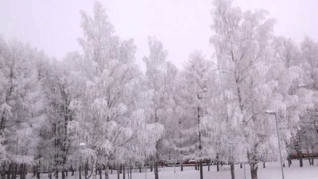 РУССКАЯ  ЗИМА