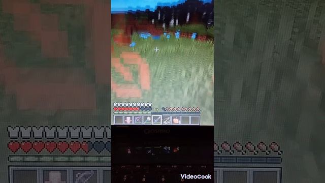 1000015889.mp4