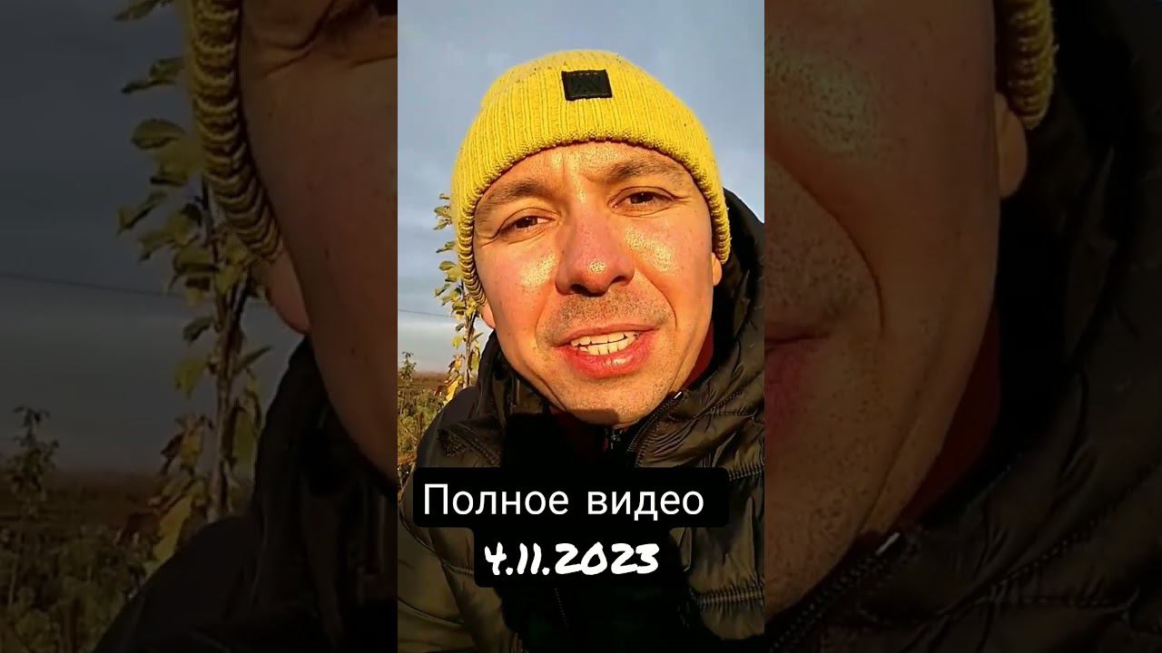 Урожай винограда в год посадки! Александр красавчик!