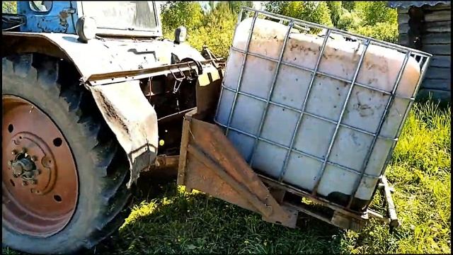 Полив и подкормка чеснока.