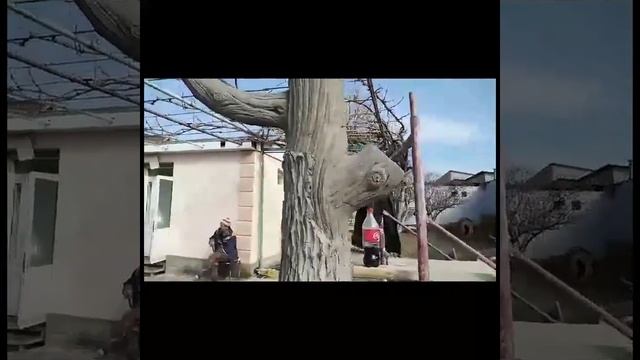 заборы  умывальники.  скульптуры  камины  из арт бетона  узбекский  скульптор Джумабек Джумабаев