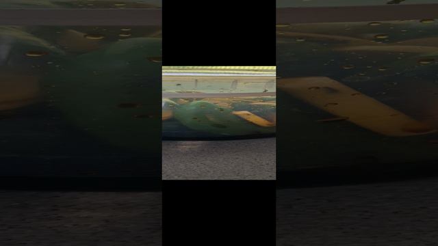 Отдых в горах Алтая