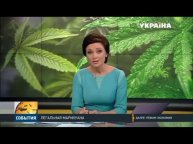 7 Ноябрь 2017 г.