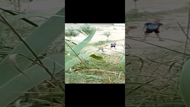 следим за задротами в нашем дворе (часть 2)