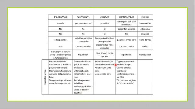 REINO PROTISTA Y FUNGI - BIOLOGIA - NIVEL IV - SECUNDARIA