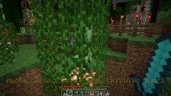 Minecraft Tips: Vines