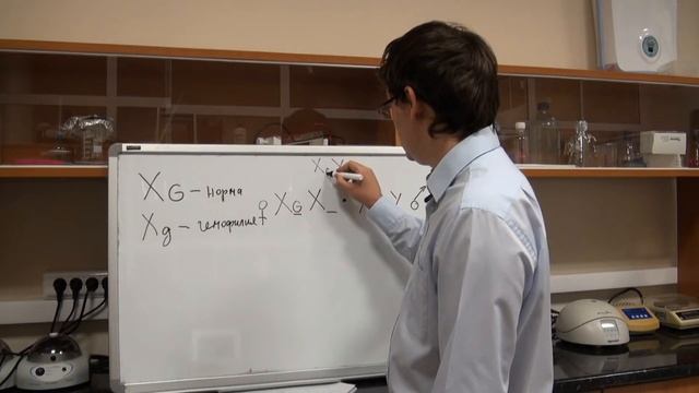 Сцепленное с полом наследование. Разбор задачи №6.1 "Гемофилия"