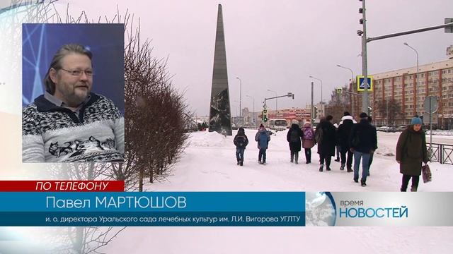 Тагильчане: Высаживать деревья в снег - это нормально?