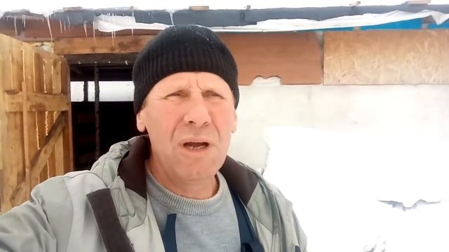 Про сено и зерно .