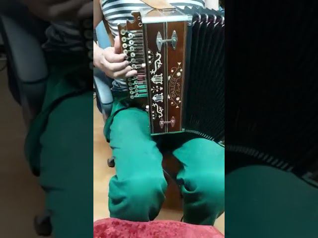 Гармонь Фадеева.соль#  А.Чечёткин - Сормач