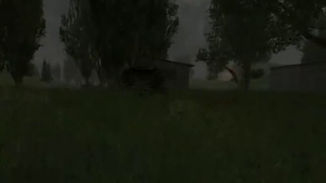 S.T.A.L.K.E.R - В мире животных.avi
