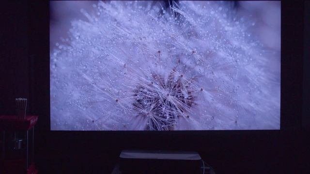 Epson LS800 UST Projector First Look Review. Brightest UST In 2022 New Epson Laser TV Up To 150