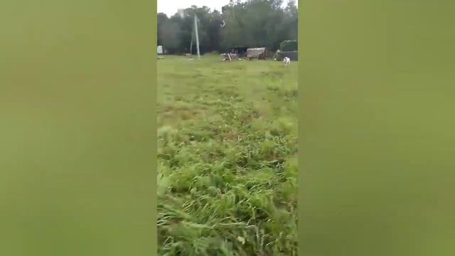 Лошади продажа / Два жеребчика