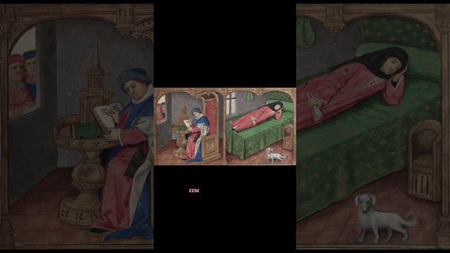 Сон в средние века #историческиефакты #history #любопытныефакты #facts #история #интересное