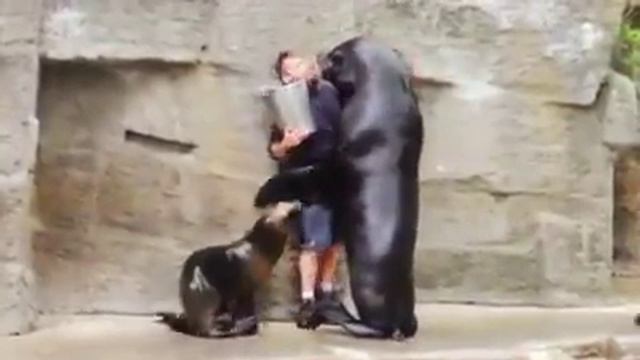 Обнимашки нужны всем, в том числе и животным