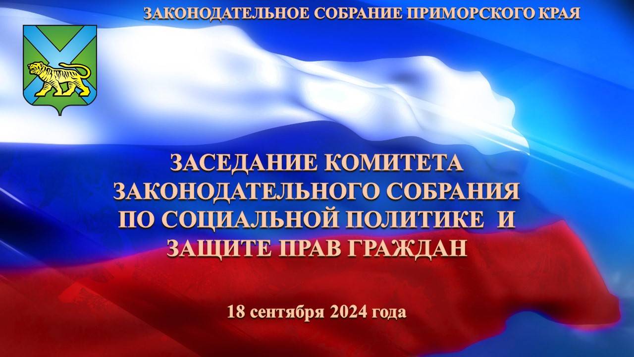 Заседание комитета по социальной политике и защите прав граждан 18.09.2024