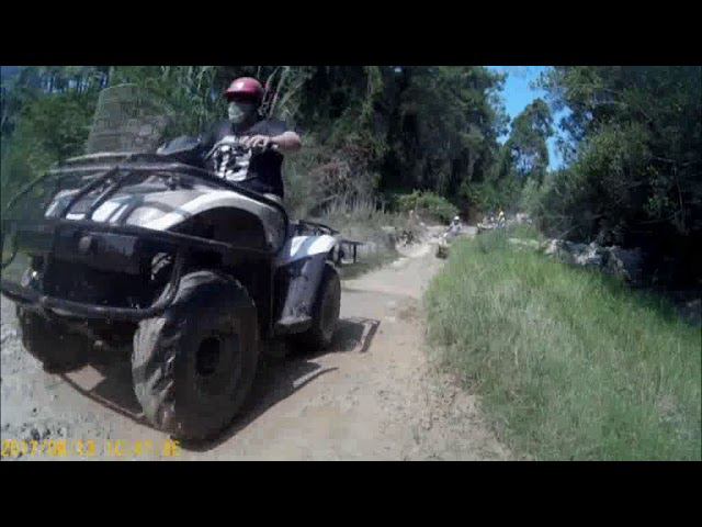 Quadro safari Turkey 2017