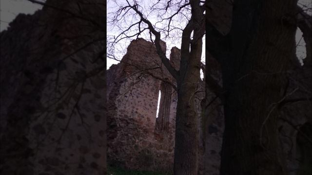 Ruiny kościoła w Rudau XIVw. short