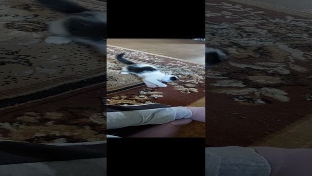 20220516_150620.mp4