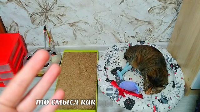 Наше первое видео!–Немного о нашем канале💞