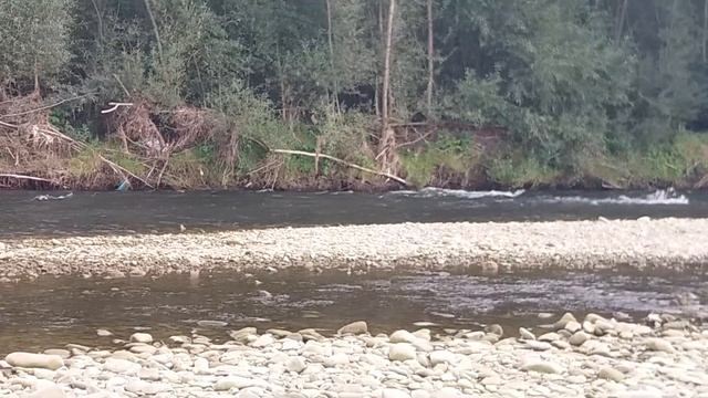 шум води?позитив релакс релаксация природа nature шумводы relax