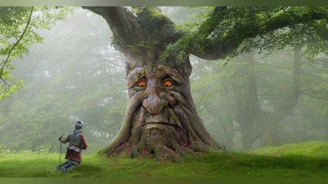 МУДРОЕ ДЕРЕВО🌳