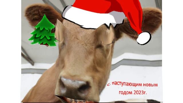 корова 2 анекдота