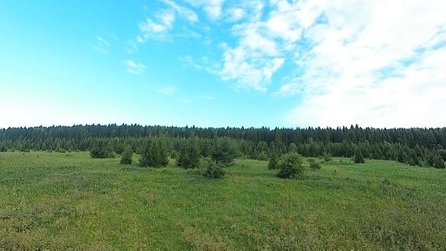 Воспоминания)