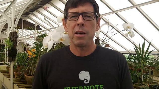 Wild Orchid Project Crowd Funding Campaign Day 4