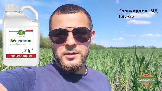 Эффективность применения гербицида компании "СоюзАгроХим" - Корнкордия, МД