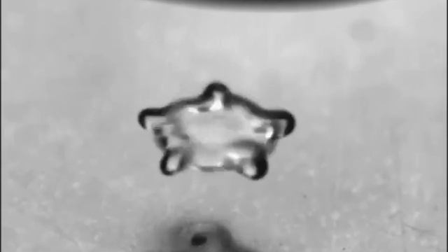 Cymatic droplet levitation _ Циматическая левитация капель
