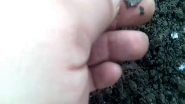 закрытие сезона 2015