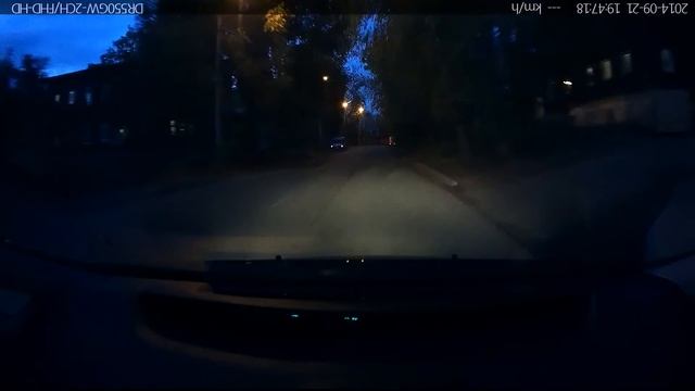 Коты под колеса