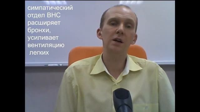 Нервно-гуморальная регуляция дыхания