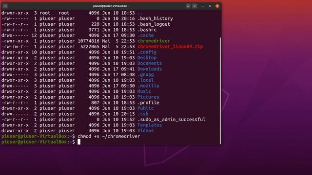 Selenium Python - Install Selenium, Chromedriver, Chrome on Ubuntu, Debian, Python - Part 1b