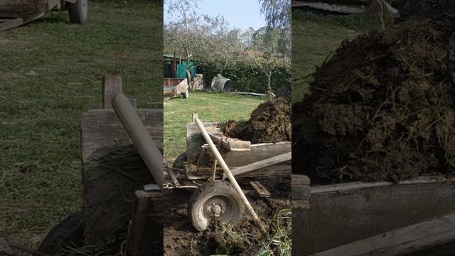 #7октября2021# г#вивозим#гній#коні#ваговози#продаж#реклама#тесла#)))?#
