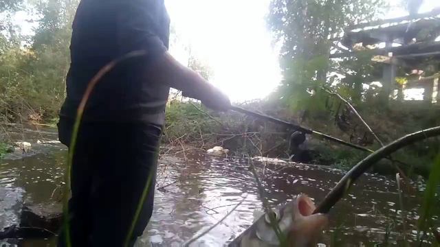 Рыбалка Кирово-Чепецк - 20-и минутная рыбалка