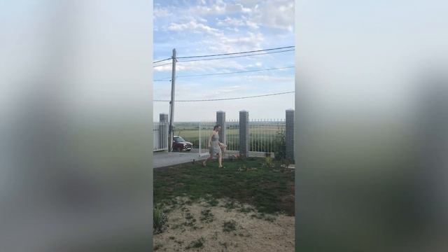 Как ЛЕГКО посеять газон с нуля. Зеленый ковер за ОДИН СЕЗОН!