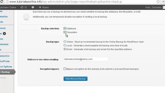 Como instalar el plugin Online Backup en Wordpress