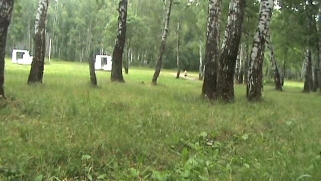 Егерь в булке. 50м.