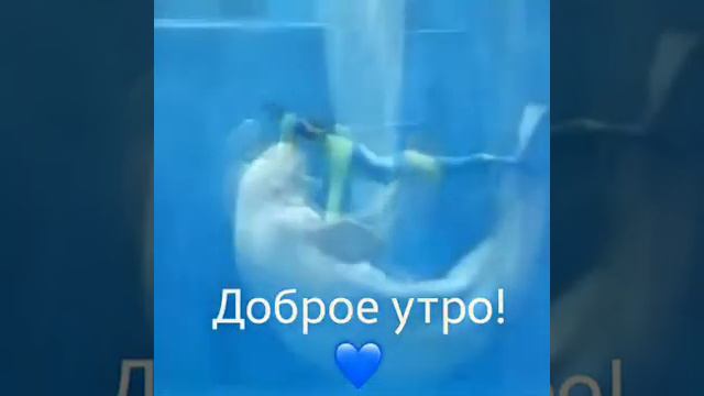 Доброго утра,всем и удачи!!!