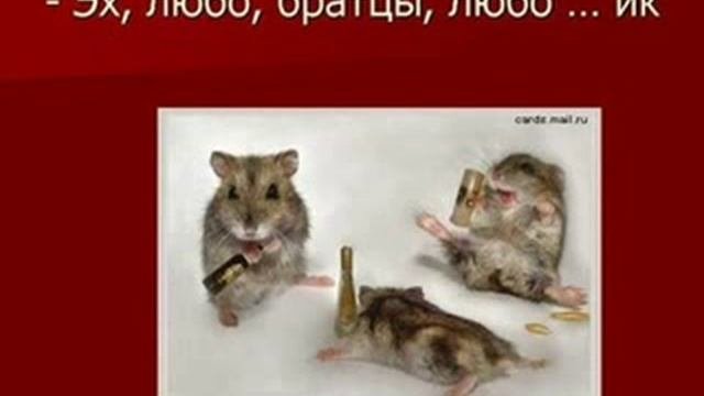Хомяки от дяди Вани