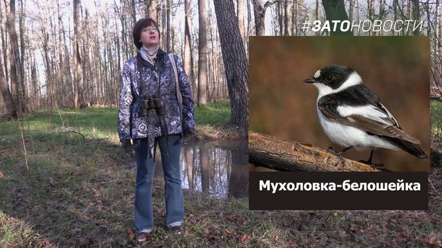 Виртуальная экскурсия по "Северному парку" с Анной Лисовенко