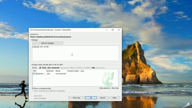 Visual Svn Server Manejo