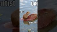 Искусственный интеллект. Полное видео на канале https://www.youtube.com/watch?v=MnLnMJzs5NI #shorts