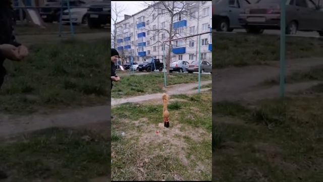 Кола+ментос 1 часть