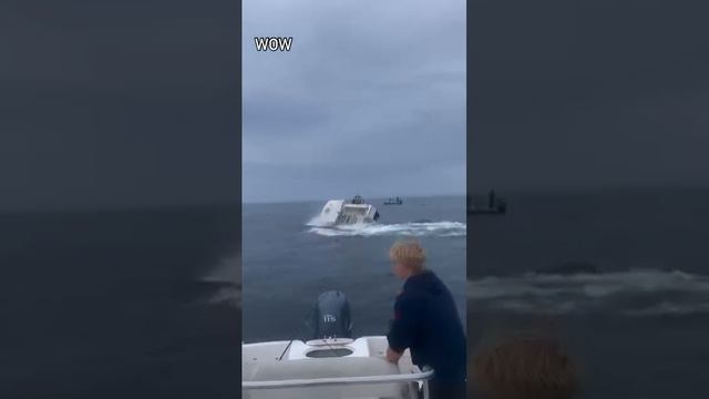 Кит перевернул лодку