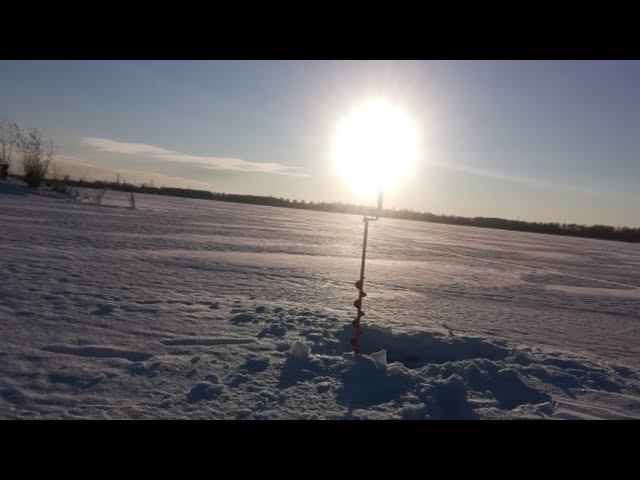 Привезли студента из МЕКСИКИ попросили показать прелести зимней рыбалки