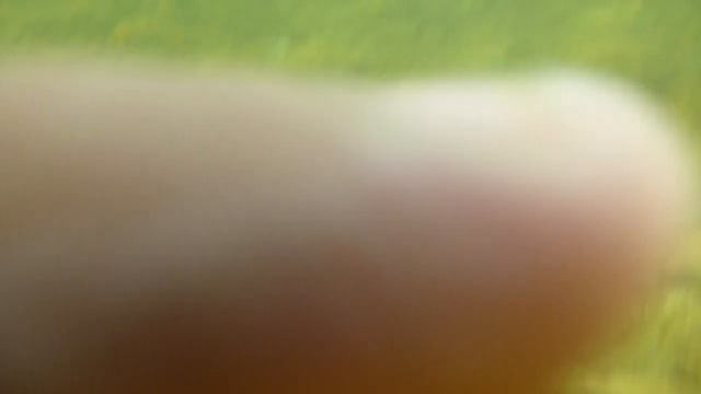 Vídeo exemplo com a Lumix DMC-FT4 de baixo de água