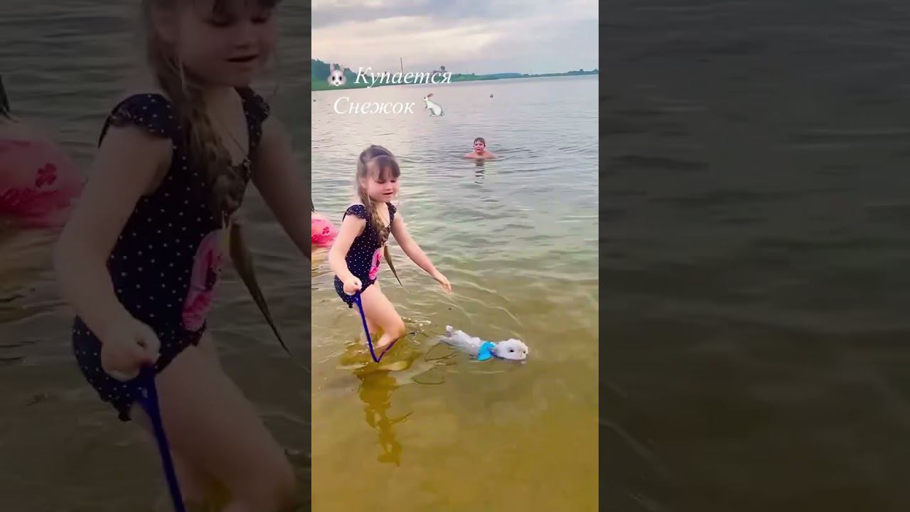 Кролик  купается. Мой Снежок  #кролик
